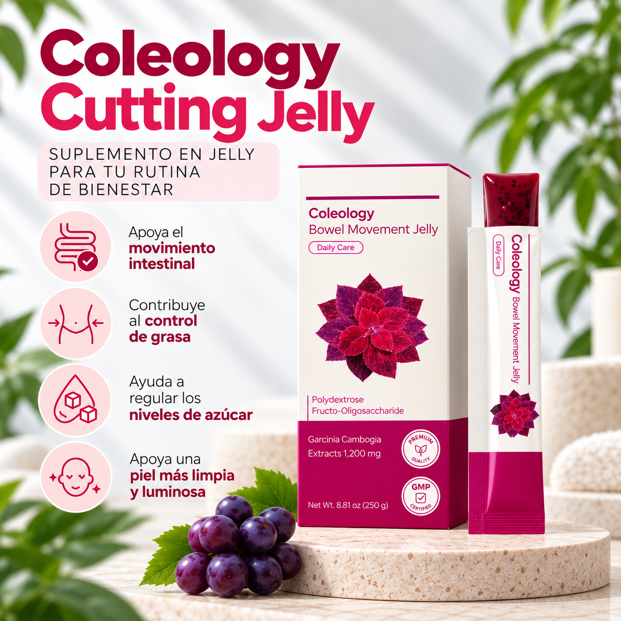 Jelly de Garcinia Cambogia en caja de 10 sticks